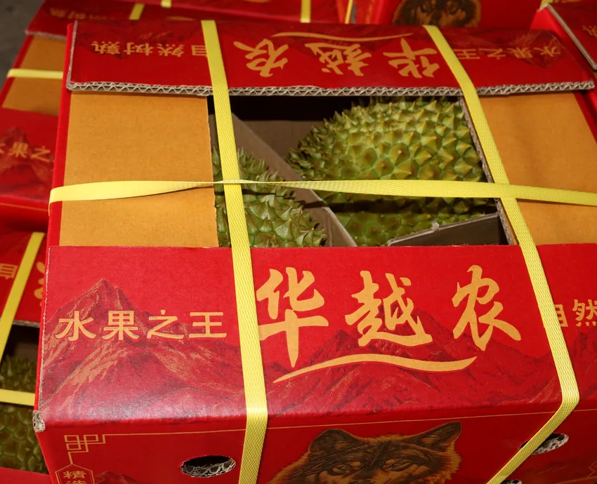 Close-up of a durian shipping carton