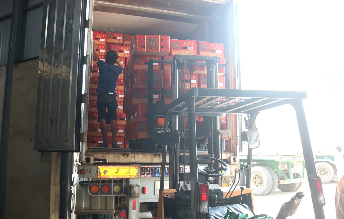Durian cartons being loaded into a container