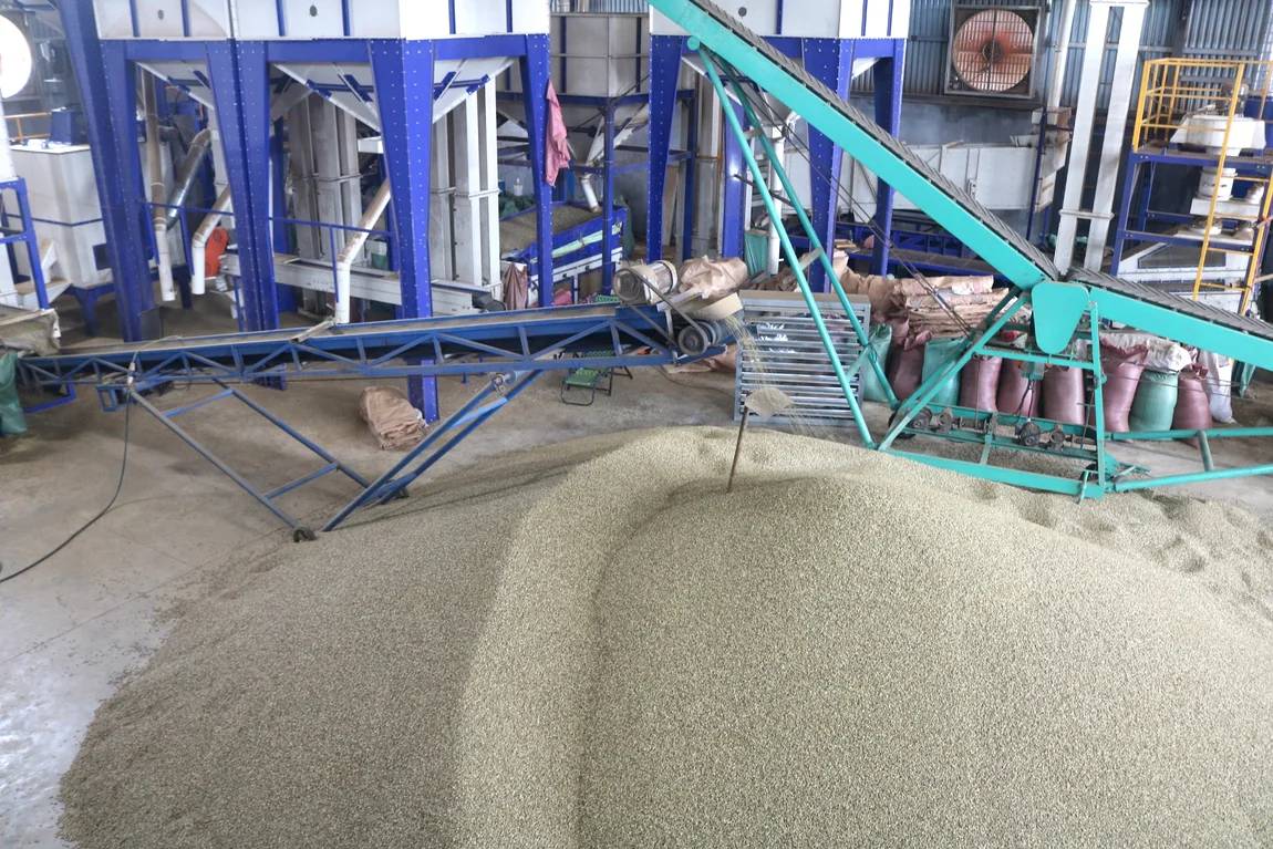 Coffee processing machinery photo provided by client