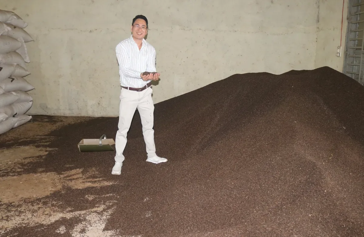 Client-provided photograph of pepper stock